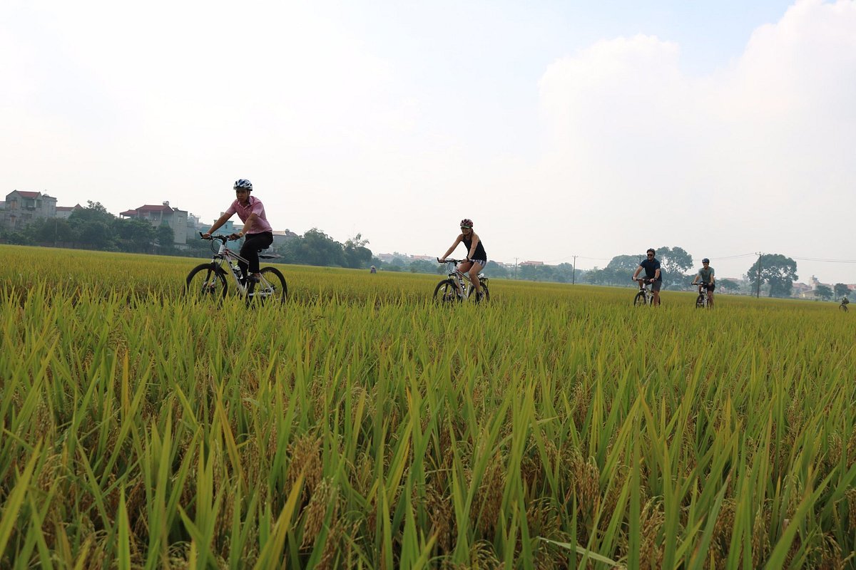 Hanoi Cycling Day Tour Chem Tay Tuu Dong Ngac
